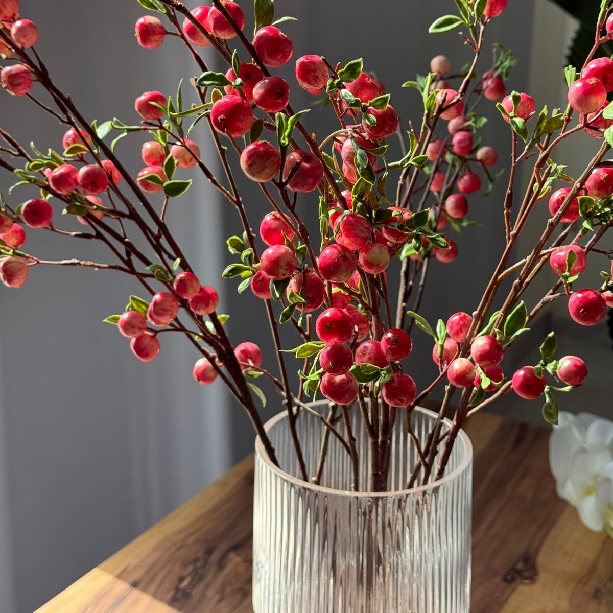 Modern Crest Clear Glass Vases