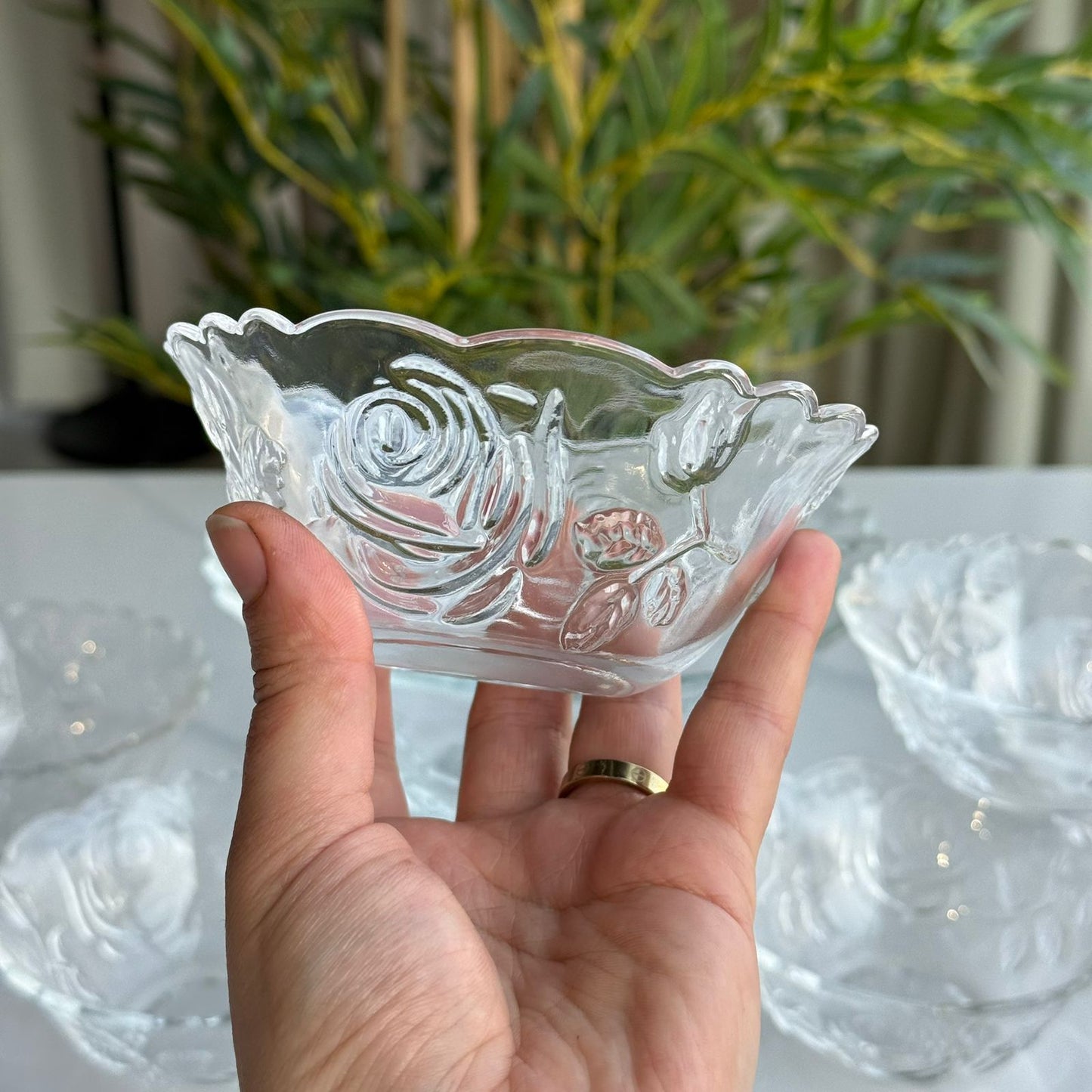 Elegant Glass Dessert & Salad Bowl Set