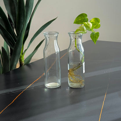 Elegant Clear Glass Vase