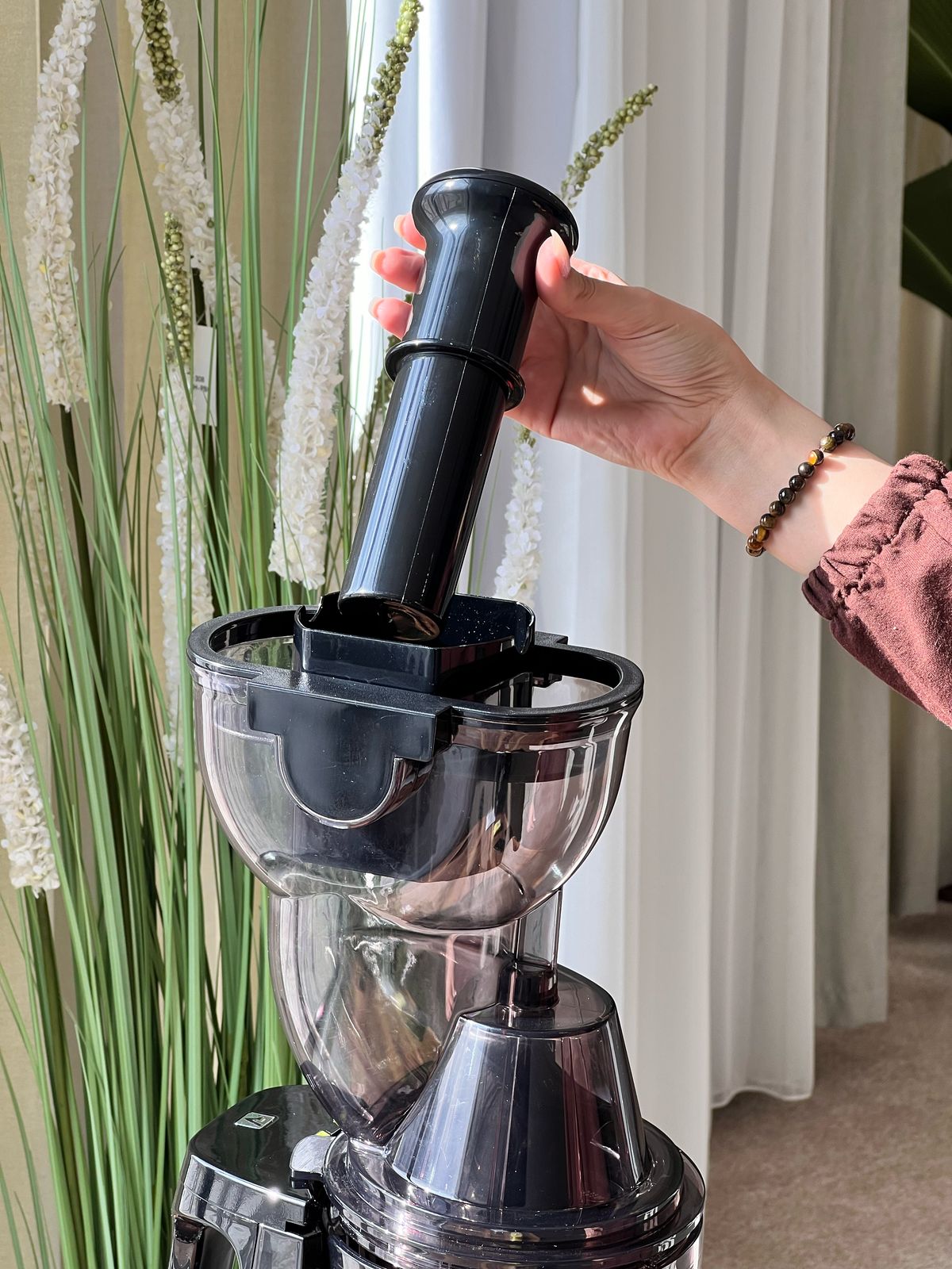 Powerful Press Juicer