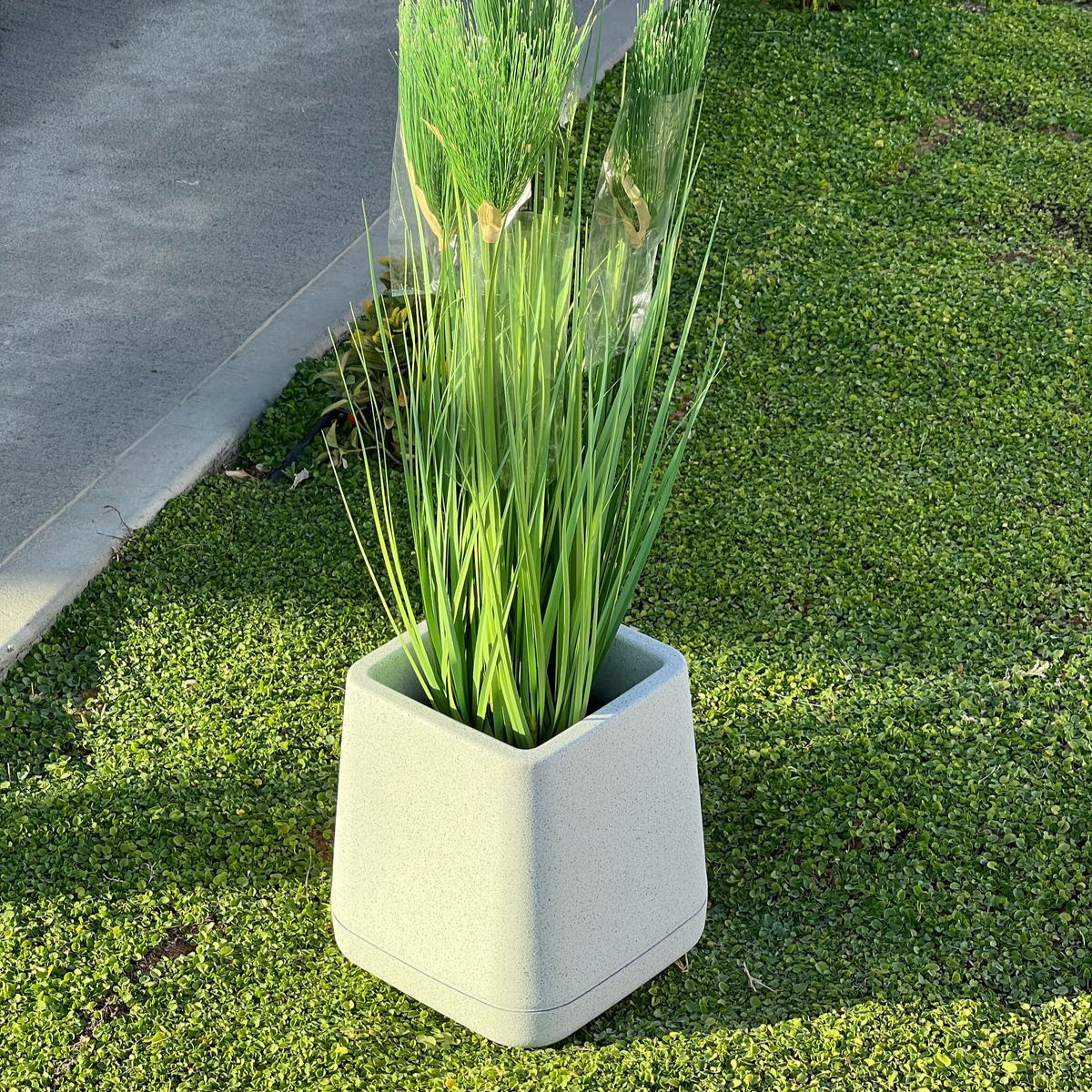 Indoor/Outdoor Modern Plant Pot