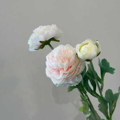 ألف زولو ليان - زهور زائفة