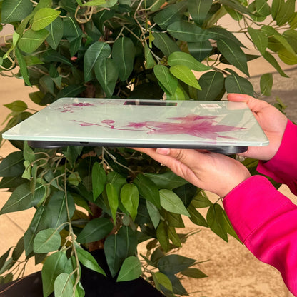 Elegant Multi-Color Glass Digital Scale