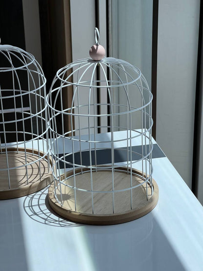 XT102 قەفەزی هەڵواسینی دیکۆراتی/زەوی