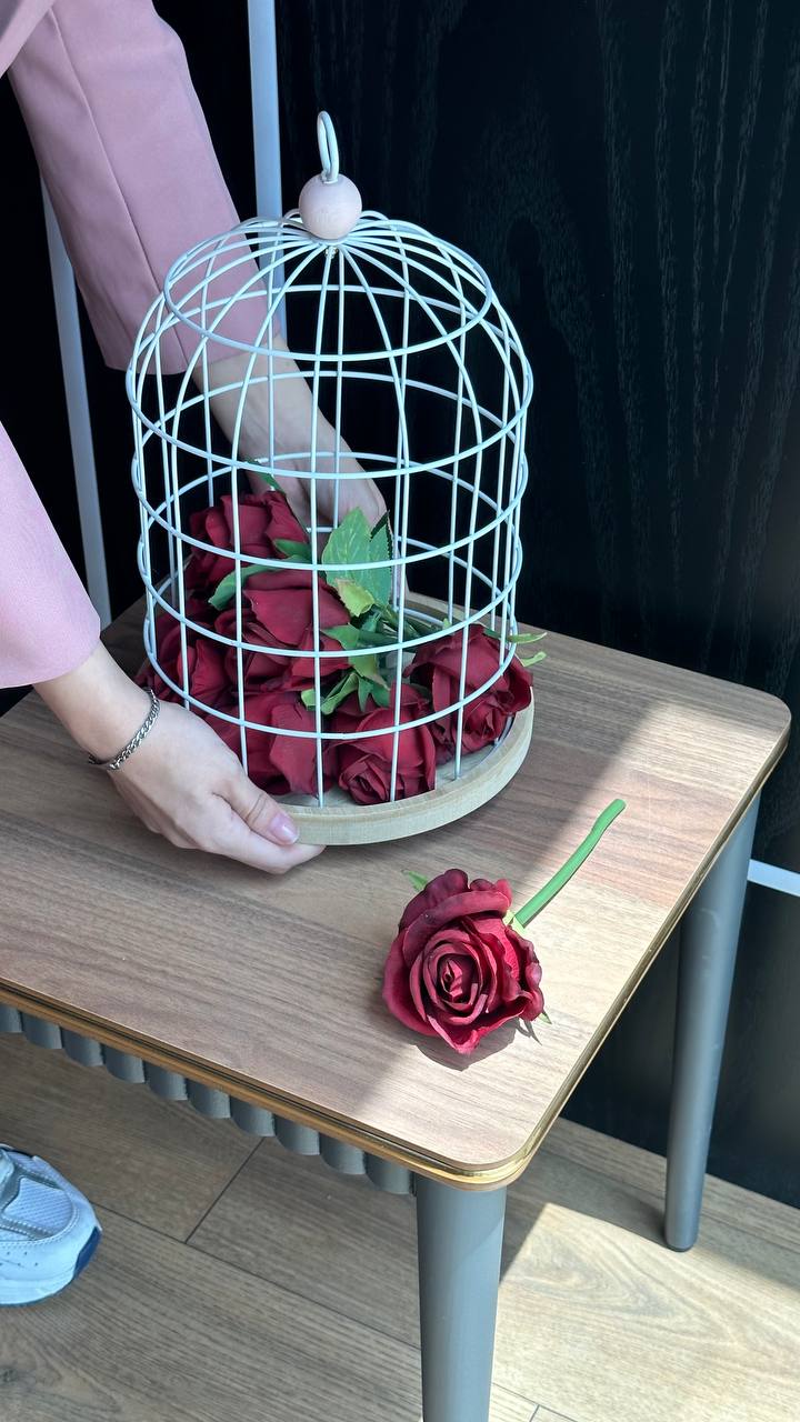 XT102 قەفەزی هەڵواسینی دیکۆراتی/زەوی