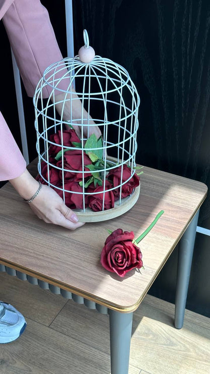 XT102 قەفەزی هەڵواسینی دیکۆراتی/زەوی