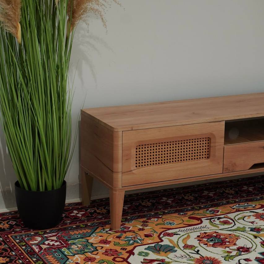 Hasiri Modern TV Table