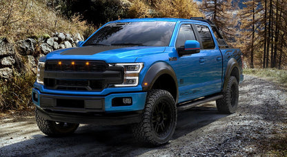 Ford F-150 Seat Cover