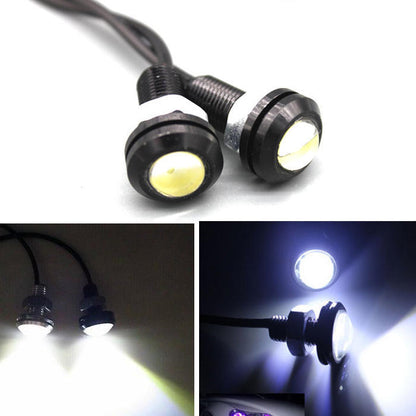 Eagle Eye LED Light