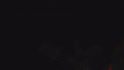 Car LED Police Lights