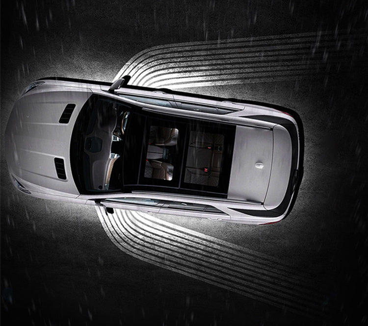 Car LED Angel Wings Light