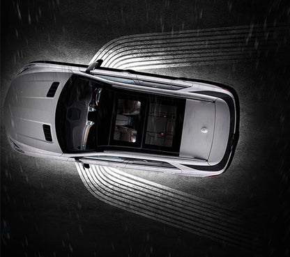 Car LED Angel Wings Light