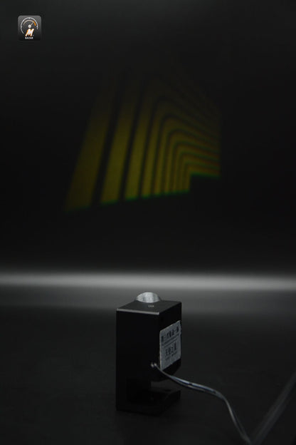 Car LED Angel Wings Light