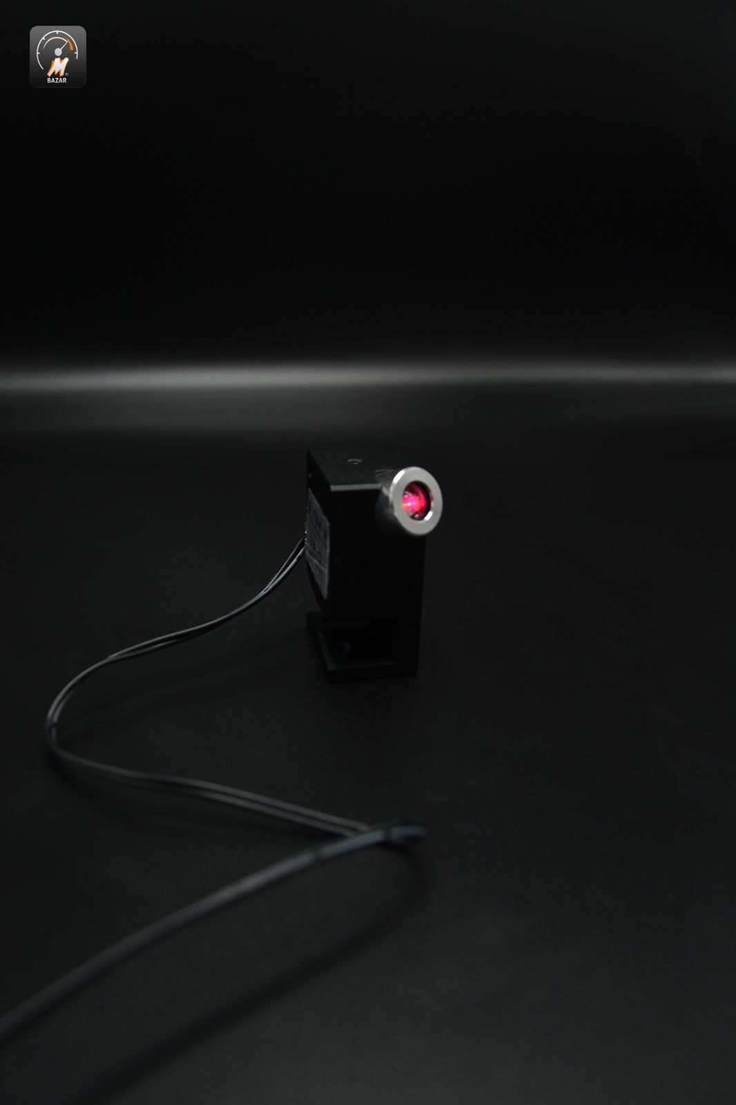 Car LED Angel Wings Light