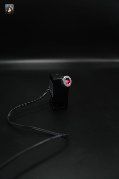 Car LED Angel Wings Light