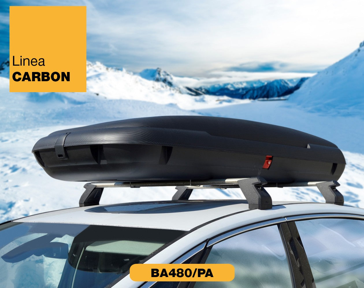 Carbon Fiber Roof Cargo Box