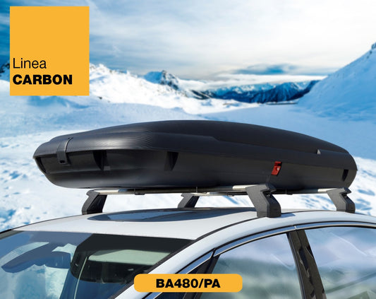 Carbon Fiber Roof Cargo Box