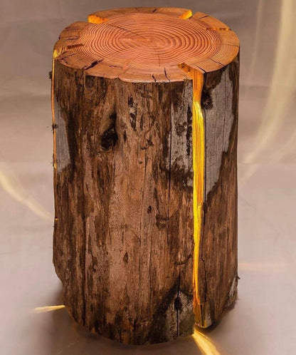 Cracked Led Log Lamp