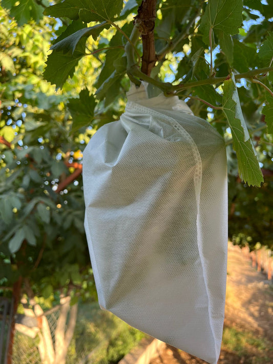 Grapes Bag