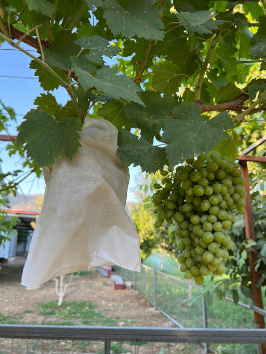 Grapes Bag
