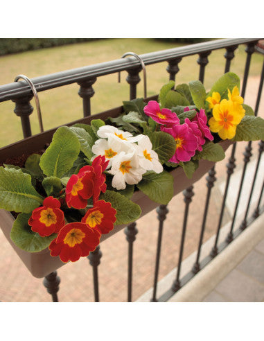 Garden Hanging Planter FLY.060.CU