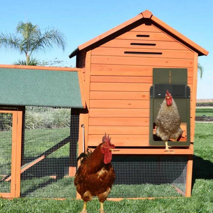 Automatic Chicken Door Coop Door