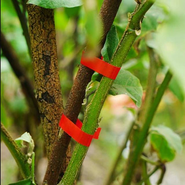 Plant Tying Tapener Machine