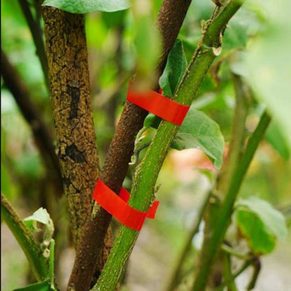 Plant Tying Tapener Machine