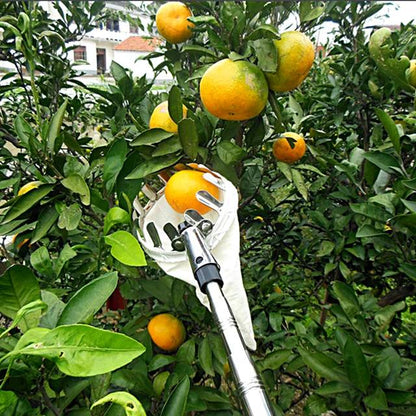 Portable Fruit Picker